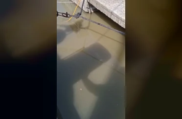 Yeşilköy’de balıkçı barınağından denize atık su deşarjının görüntüleri ortaya çıktı 