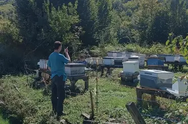 Yığılca’da arılı kovan sayımı yapıldı
