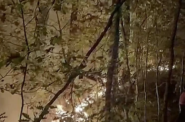 Yığılca’daki orman yangını söndürüldü 