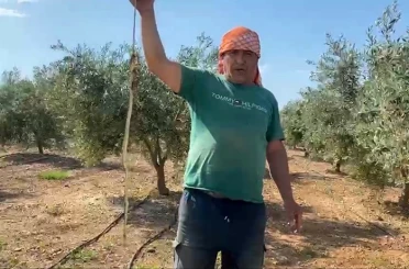 ’Yılanı öldürdüm’ deyip çektirdiği video pahalıya mal oldu: 22 bin TL ceza yedi 