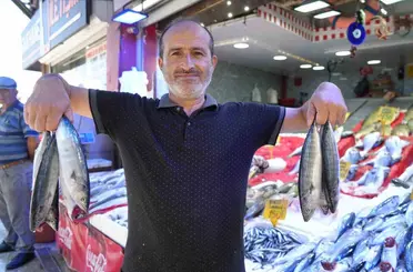 Yıllardır böylesi görülmedi: Karadeniz’den palamut fışkırıyor

