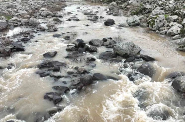 Yoğun yağışlar çiftçinin yüzünü güldürdü 
