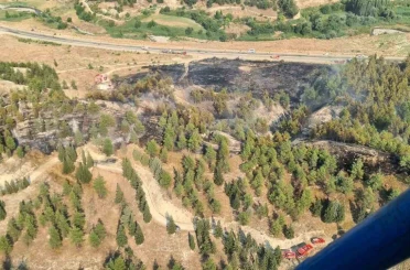 Yol kenarında başlayıp ormana sıçrayan yangın hızlı ve etkin müdahaleyle büyümeden söndürüldü 