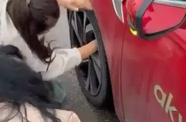 Yola atlayan kedi aracın tekerine sığındı, kurtarma anı kamerada
