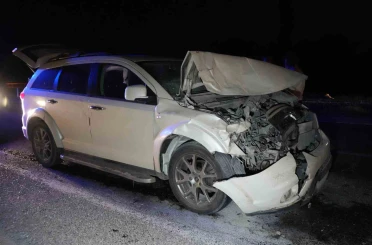 Yola çıkan hayvanlara otobüs ve cip çarptı: 3 inek telef oldu 