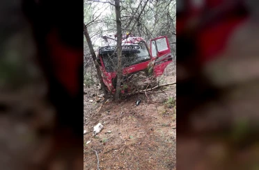 Yoldan çıkan vinç ormanlık alana daldı 