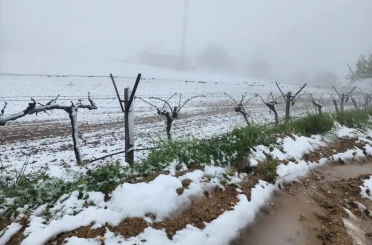 Yüksek kesimlerde ani hava değişimi üreticiyi zorladı 