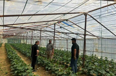 Yüksekova Tarım ve Orman Müdürlüğü ekiplerinden çiftçilere saha desteği 
