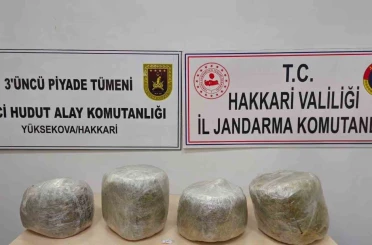 Yüksekova’da 11 kilo skunk ele geçirildi 