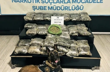 Yüksekova’da 30 kilo Skunk ele geçirildi: 2 şüpheli gözaltında 