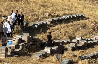 Yüksekova’da bal hasadı başladı 