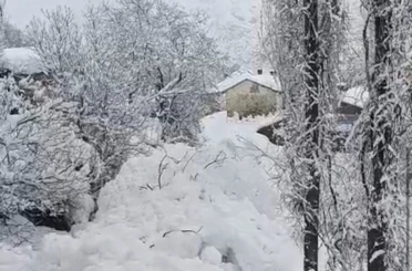 Yüksekova’da çığ yerleşim yerine indi: Facianın eşiğinden dönüldü 