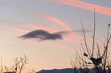 Yüksekova’da gökyüzünde doğa şöleni: Bir bulut onlarca silüet 