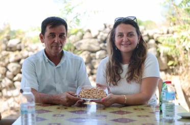 Yuntdağı’nda fıstık hasadı için geri sayım başladı 