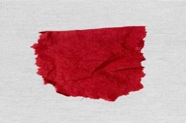 Yunus Timleri uyuşturucu operasyonu 