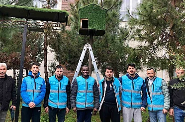 Yurt öğrencileri kuşlar için ev yaptılar 