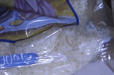 Zabıta denetiminde kurtlanmış ve böceklenmiş ürünler ele geçirildi 