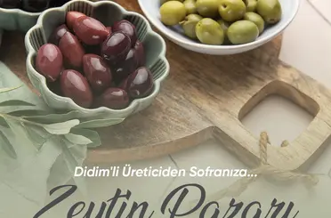 Zeytin üreticileri için satış alanı oluşturulacak
