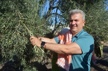 Zeytinyağında AB tescili için çabalar sürüyor 