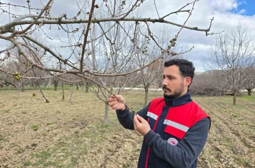 Zirai don olaylarına karşı meyve bahçelerinde kontroller sürüyor 