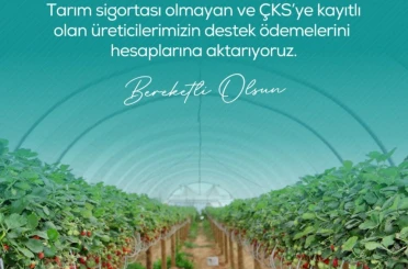 Zirai dondan etkilenen çiftçilere 13 milyar 221 milyon lira destek ödemesi yapılacak 