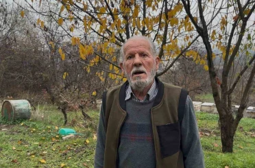 Zirai ilaç yüzünden milyonlarca arısı kovana dönemeden öldü 