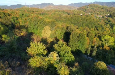 Zonguldak ormanlarında sonbahar renkleri havadan görüntülendi 