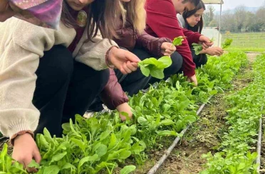 Zonguldak’ta Tarım Lisesi öğrencileri, uygulamalı eğitimde hasat yaptı 