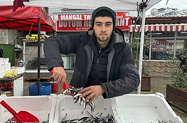 Zonguldak’ta tezgahta hamsinin yerini istavrit ve mezgit alacak 