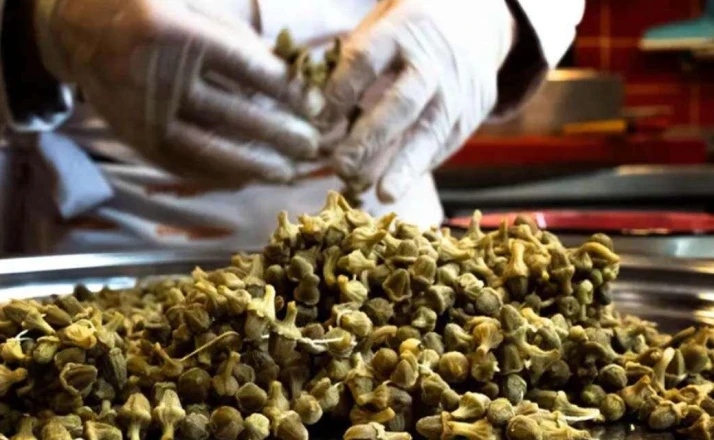 2 Tonluk Bamya Dosyasında Yeni Gelişme
