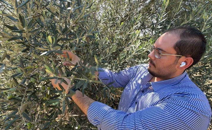 ABD’nin gümrük vergisi kararı zeytinyağı sektörünü etkileyecek... 