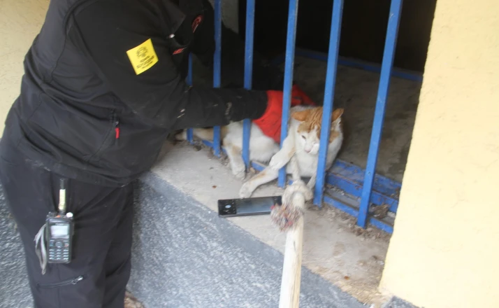 Açlıktan bitkin düşen kedi itfaiye ekiplerince kurtarıldı