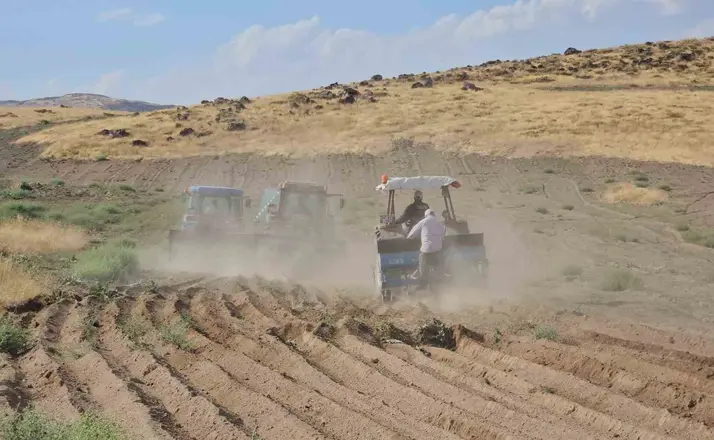 Adilcevaz’da buğday ekim sezonu başladı
