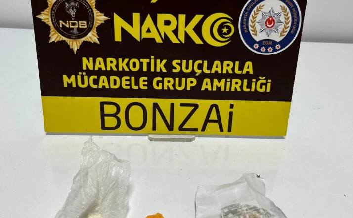 Akşehir'de uyuşturucu operasyonu: 1 tutuklama