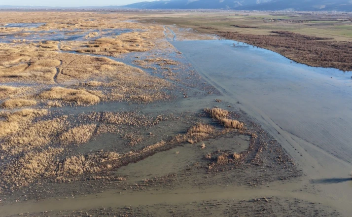 Akşehir Gölü'nde yıllardır görülmeyen oldu