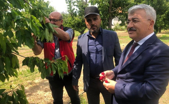 Akşehir Kirazı’nın geleceği sahada değerlendirildi