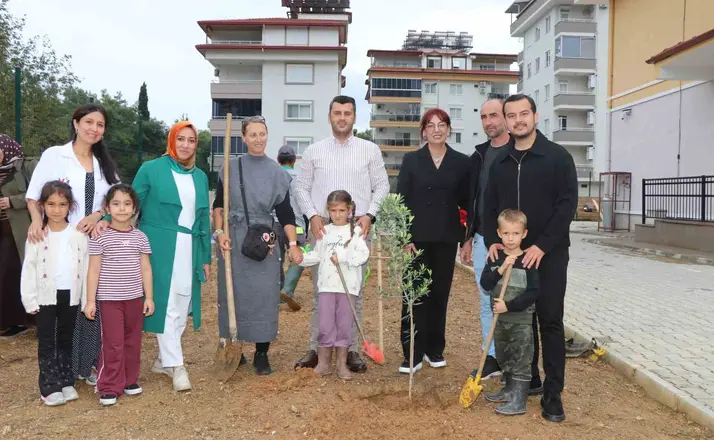 Alanya’da minik eller zeytin fidanlarını toprakla buluşturdu
