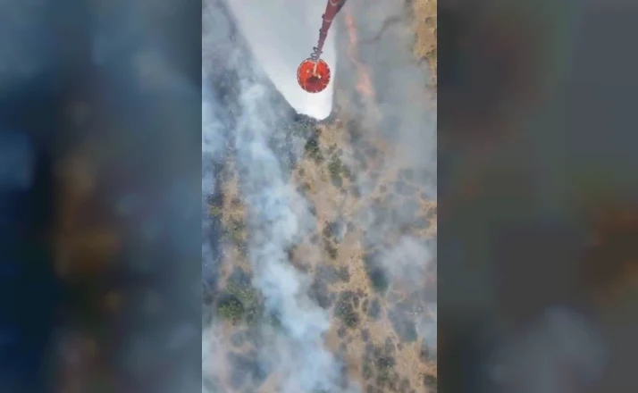 Altıeylül ve Sındırgı’da orman yangını başladı 