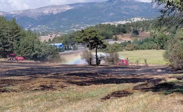 Anız yangını ormana sıçradı, köylülerin erken müdahalesi facianın önüne geçti
