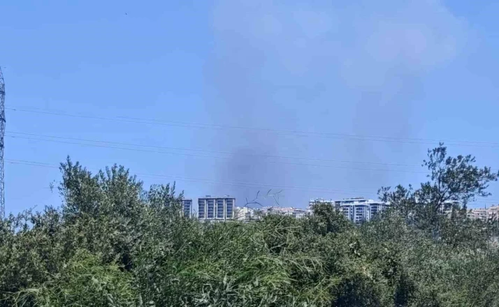 Antalya’da ormanlık alanda yangın 