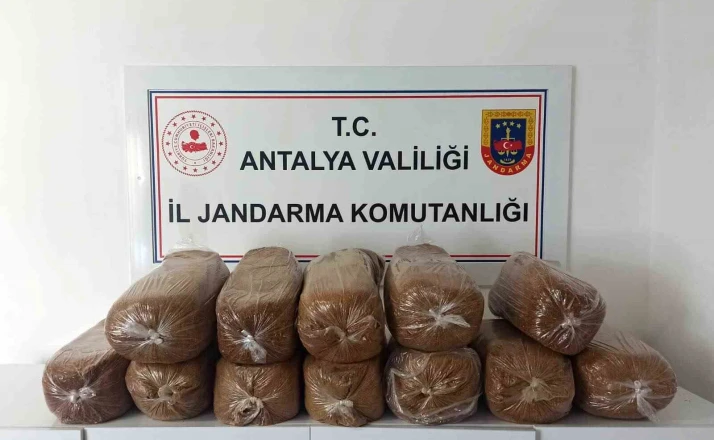 Antalya’da üç ilçede kaçak tütün operasyonu: 785 kilogram tütün ele geçirildi 