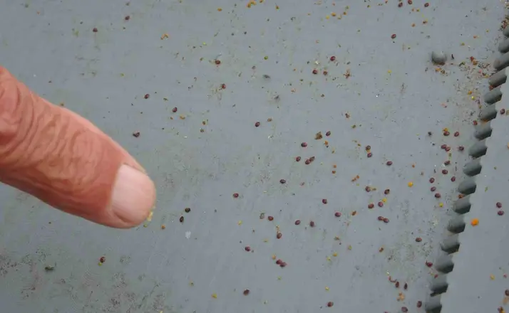 Arılı kovanların ilkbahara sağlıklı çıkması için varroa mücadelesi büyük önem taşıyor
