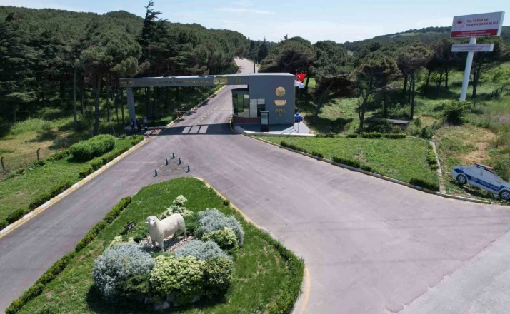 Bandırma Koyunculuk Araştırma Enstitüsü’nün TÜBİTAK projesine destek 