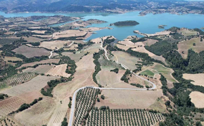Baraj çevresi bal ormanına dönüşüyor 