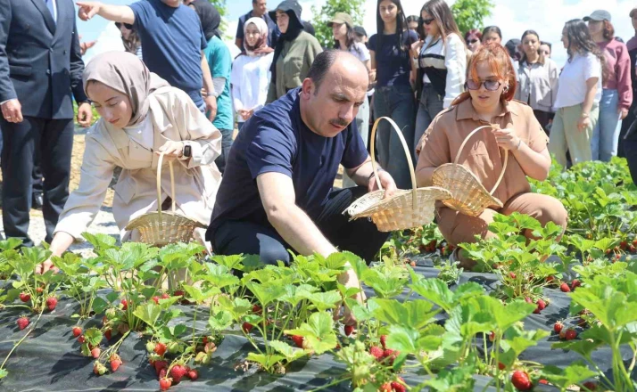 Başkan Altay, 2027 yılı tarımsal destek başvurularının 1 Temmuz’da başlayacağını duyurdu