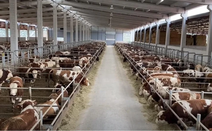 Besi çiftliklerine talep oluyor mu?