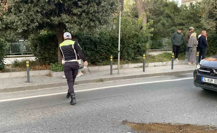 Beşiktaş’ta zincirleme kaza: 2 yaralı
