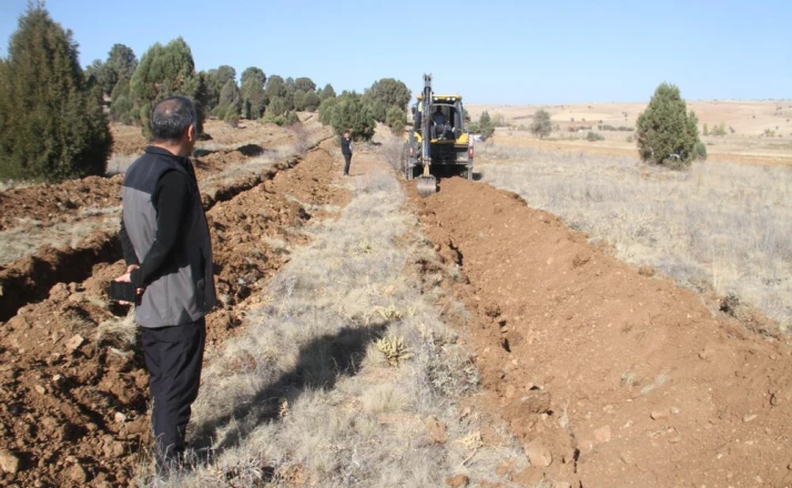 Beyşehir’de 11 bin orman fidanı daha toprakla buluşturulacak