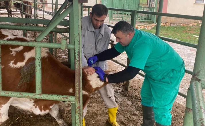 Beyşehir’de hayvan sağlığını koruma çalışmaları