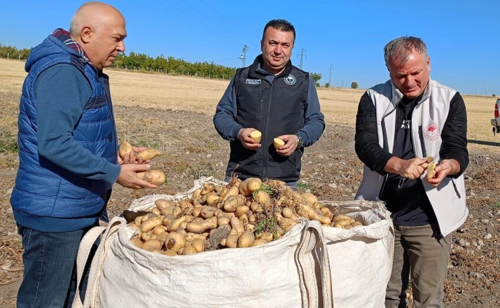 Beyşehir’de patates üreticisinin artan üretimle yüzü güldü